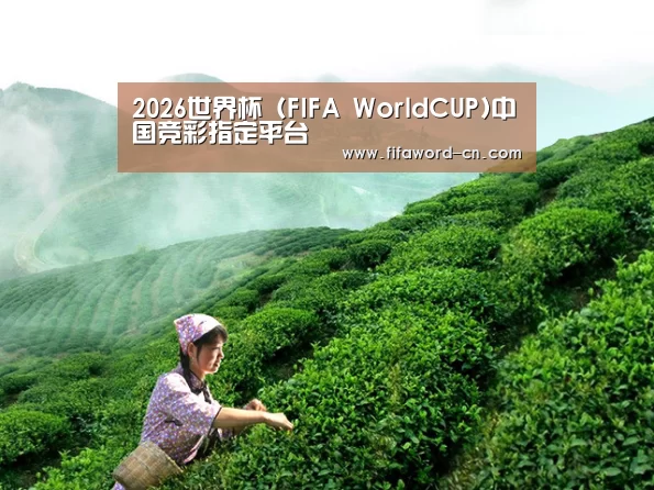 2026世界杯 (FIFA WorldCUP)中国竞彩指定平台