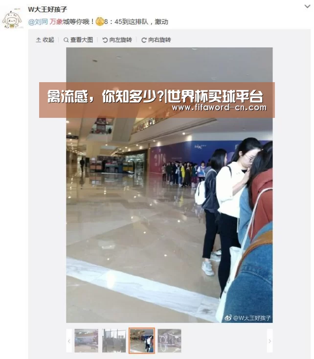 世界杯买球网站